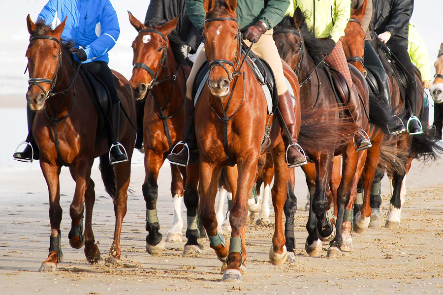 Trip My India Planners